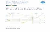 Smart Urban Industry Weiz - 4ward Energy · B. Projektbeschreibung B1. Kurzfassung Ausgangssituation / Motivation: ... an early and adequate coordination with the respective responsible