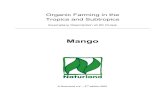 Organic Farming in the Tropics and Subtropics - Naturland...Botany Mango belongs to the family of Anacardiaceous, a rapidly growing, evergreen tree with a dense, outspread coronet.