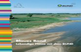 Blaues Band – Lebendige Flüsse mit dem BUND · 2017-05-16 · Das BUND-Auenzentrum hat in der Lenzener Elbtalaue in enger Zusammenarbeit mit Land, Flächeneigentümer und Biosphärenreservat