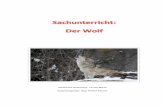 Inhaltliche Gestaltung: Teresa Mörth Zusammengefügt: Mag. … · 2020-04-19 · Die jungen Wölfe sind nach zehn Monaten ausgewachsen und nach 22 Monaten geschlechtsreif. ... Sein