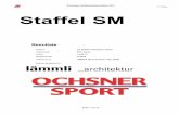 Schweizer Staffelmeisterschaften 2013 Staffel SM · (Rueger Eric 96 / Dupré Arnaud 97 / Bugnon Corentin 96 / Sarton du Jonchay Luc 96 ) 3. AC Murten 1 AC Murten 46.34 (Gutknecht