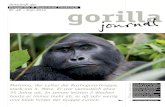 Zeitschrift der Nr. 48 – Juni 2014 gorilla · 2018-07-20 · Nr. 48/Juni 2014 3 Bwindi-Impenetrable-Nationalpark Im Januar gab es eine schwere Auseinanderset-zung zwischen dem leitenden