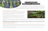 RATGEBER HEILPFLANZEN - otto.de · PDF file 2019-02-18 · Heilpflanzen können selbst angepflanzt werden, viele von ihnen sind aber auch in der freien Natur zu finden. Wer Heilpflanzen