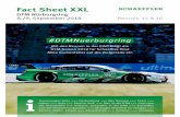 Fact Sheet XXL - Schaeffler Group...4 x 24h Nürburgring 2 x 24h Spa 1 x 12h Bathurst Mike Rockenfeller Geburtstag 31. Oktober 1983 Geburtsort Neuwied (D) Wohnort Landschlacht (CH)