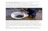 LAVT :: Landesanglerverband Thüringen e.V. · Web viewÜber 100.000 Jungaale für die Gewässer der Saalekaskade und des Thüringer Gewässerverbundes - Fortführung der Fisch arten