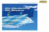 EU-Förderung für Bayern - Nürnberg · (Berufliche Aus- und Weiterbildung) 50 9.4 . GRUNDTVIG (Erwachsenenbildung) 51 10. Förderung des europäischen Bürgerwesens in Bayern 52
