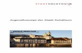 Jugendkonzept der Stadt Solothurn€¦ · zepts der Stadt Solothurn und unter Berücksichtigung der aktuellen Situation erarbeitet und vom Gemeinderat am 20. November 2018 zur Kenntnis
