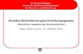 Dr. Erwin Buchinger Anwalt für Gleichbehandlungsfragen für ... · Bundes-Behindertengleichstellungsgesetz - Rechtliche Aspekte der Barrierefreiheit - Mag.a Birgit Lanner, 14. Oktober
