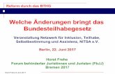 NITSA e.V. - Selbstbestimmt leben mit Assistenz!NITSA e.V ...nitsa-ev.de/wp-content/uploads/2017/07/04-FbJJ_Horst...2017/07/04  · 1 bis 3 der Eingliederungshilfe-Verordnung in der