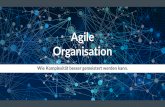 Agile Organisation - Graphic Es ist relativ einfach, agil zu wachsen. Agil Krisen und Konflikte zu meistern