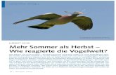 Mehr Sommer als Herbst – Wie reagierte die Vogelwelt? · 2019-01-31 · Dass der Herbst 2018 zahlreiche Entdeckungen sehr seltener Arten mit sich brachte, ist hingegen unstrittig.