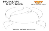 HUMAN SENSES 123kidsfun.com Draw sense organs,123kidsfun.com/.../08/123kudsfun-human-senses-6.pdf · HUMAN SENSES 123kidsfun.com Draw sense organs, Created Date: 8/9/2018 3:22:56