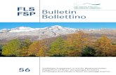 FLS Bulletin 

FLS Bulletin â€“ Bollettino FSP, 56/2019