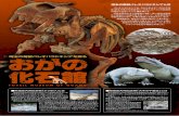 FOSSIL MUSEUM OF OGANOパレオパラドキシアは、今からおよそ1,500万年 前（新生代第三紀中新世）に日本と北アメリカ西海岸 の海辺で生息していた哺乳類です。