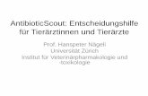 AntibioticScout: Entscheidungshilfe für Tierärztinnen und ... · Ausgangslage 2016 •Übermässiger therapeutischer Einsatz von Antibiotika auch bei Tieren •Unsachgemässe Anwendung