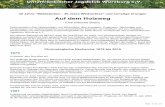 Auf dem Holzweg · 2015-02-27 · Seite 1 von 20 30 Jahre "Waldsterben - 30 Jahre Wildverbiss" und sonstige Irrungen Auf dem Holzweg - Eine kritische Bilanz - Dokumentation über
