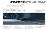 flash8 juni2007 (Page 1) - BGS Bau Guss AG · Die Swissbau 2007 gehört bereits der Vergangenheit an. Während dieser intensiven Messezeit konnten wir mit unserer grossen Produktepalette