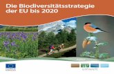 Die Biodiversitätsst rategie der EU bis 2020 · 2016-05-27 · Die Biodiversitätsstrategie der EU bis 2020 Am 3. Mai 2011 nahm die Europäische Kommission eine neue Strategie zur