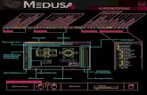 Quickguide: Werkzeuge und Benutzeroberfläche in MEDUSA4...ANPASSUNGSBEREICH Klicken Sie auf die Schaltfläche "Löscht Schaltflächen im Anpassungsbereich und das Menü "Angepasste