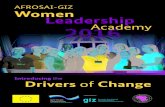 AFROSAI-GIZ Women Leadership 2016 Academy · 2017-09-25 · 10 AFROSAI-GIZ Women Leadership Academy 2016 Participation in the WLA allowed me to broaden my relational horizons through