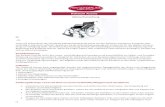 Rollstuhl Actimo - EUROtops · 2019-01-29 · Der Rollstuhl Actimo ist für den Innen- und Außenbereich konzipiert und ausschließlich zur Selbst- und Fremdbe-förderung von Personen