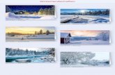 Winterlandschaften · Ein grünes Doppel-Einlegeblatt (100 g/m²) sorgt für zusätzlichen, intensiven Farbkontrast. Motiv: WL15207 • Zauberwald Doppelkarte aus dunkelblauem Karton