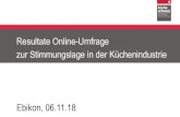 Resultate Online-Umfrage zur Stimmungslage in der …üche-schweiz.ch/public/upload/assets/8879... · 2018-11-15 · Resultate Online-Umfrage zur Stimmungslage in der Küchenindustrie