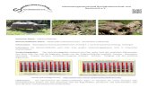 Interessengemeinschaft Schildkrötenschutz und Nachzucht e.V.ig-schildkroetenschutz.de/wp-content/uploads/2016/06/... · 2016-06-19 · Geochelone carbonaria) Schutzstatus: Washingtoner