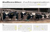 Bullenväter: Zuchtorganisation - GENEX Deutschland...Bullenväter: Zuchtorganisation Seit der letzten Bullenvateruntersuchung in HI (2/2011) sind zwei Zuchtwertschätzungen vergangen.