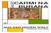 Carl Orff BURANA CARMINA - Frankfurter Singgemeinschaft€¦ · 1895 in München geboren, setzte Carl Orff mit den 1935/36 entstandenen Carmina Burana den eigentlichen Beginn seines