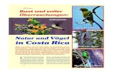 Birds Online - alles über Wellensittichebirds-online.de/pdfs/costarica052012.pdf · 2018. 7. 13. · Created Date: 8/8/2012 11:54:07 AM
