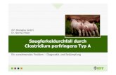 Saugferkeldurchfall durch ClostridiumperfringensTyp A 2016. 8. 12.آ  IDT Biologika GmbH Dr. Norma Hitzel