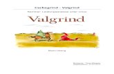 Valgrind - VI4IO...Valgrind ist eine Zusammenstellung aus verschiedenen Werkzeugen. Jedes einzelne Werkzeug hat seine eigenen Analyseschwerpunkte. Die Syntax der Tools ist allerdings