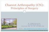 Charcot Arthropathy (CN) - DFASdfas.ortopaedi.dk/wp-content/uploads/2016/06/Charoct... · 2019. 10. 17. · R. SPRINGFELD FUSSCHIRURGIE KLINIK DR. GUTH, HAMBURG MAIL: DR.SPRINGFELD@DRGUTH.DE