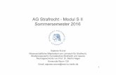 AG Strafrecht - Modul S II Sommersemester 2016heger.rewi.hu-berlin.de/doc/Fall_4.pdf · 2016. 5. 2. · 4 Lösungsskizze Fall 2 A. Strafbarkeit des A gem. § 242 I A könnte sich
