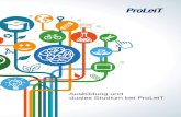 ProLeiT - Broschüre Ausbildung Studium...4 5 ProLeiT Eine Erfolgsgeschichte im Wandel der Zeit ProLeiT ist ein international agierendes Unternehmen am Wirtschaftsstandort Herzogenaurach.