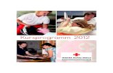 Kursprogramm 2012 - Rotes Kreuz: Home€¦ · Babyfit Kombiausbildung.....54 Frühdefibrillation für ErsthelferInnen inkl. Herz-Lungen-Wiederbelebung.....56 Besondere Notfälle in