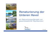 Renaturierung der Unteren Havel - NABU · Beispiel Carritz • Anschluss 04/2005 durch WSA Brbg. • Einengung ist Maßnahme im Projekt Maßnahmen - Altarmanschluss Einengung Anschluss.