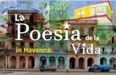 de l a in Havanna La Poesia de la Vida In آ»La Poesأ­a de la Vidaآ« sind die kأ¼nstleri-schen Ergebnisse