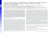 Serine/threonine acetylation of TGF -activated kinase ... · which injects effector proteins, Yops, directly into immune cells of the infected host. One of these Yop proteins, YopJ,