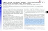 Graft versus self (GvS) against T-cell autoantigens is a ... · Graft versus self (GvS) against T-cell autoantigens is a mechanism of graft–host interaction Nora Mirzaa,b, Manfred