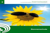 Sonnenschutz - Unfallkasse Baden-Württemberg€¦ · Sonnenschutz In vielen Bereichen der Land- und Forstwirtschaft und des Gartenbaus werden Arbeiten zeitweise oder über-wiegend