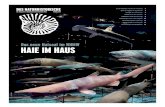 Der neue Haisaal im NHMW HAIE IM HAUS...Deshalb haben wir unseren neuesten, fast teuersten Saal „Hans-Hass-Saal der Haie“ genannt. Zur festlichen Taufe hat uns Prof. Hans Hass