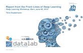 Report from the Front Lines of Deep Learning€¦ · Report from the Front Lines of Deep Learning Deep Learning Workshop, Bern, June 06, ... Why? Zürcher Fachhochschule 3 Agenda