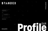 brandex.vnbrandex.vn/wp-content/uploads/2018/07/Brandex_Profile_VN... · 2018. 7. 23. · (website, web app and mobile app) chúng tôi có kién thÚc và kinh nghiêm vé UI (Giao