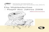 Reptil des Jahres 2006 Die Waldeidechse Herpetologie und ... · Vor diesem Hintergrund hat die Deutsche Gesellschaft für Herpetologie und Terrarien-kunde e.V. (DGHT) beschlossen,