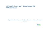 CA ARCserve® Backup für Windowsdocumentation.arcserve.com/Arcserve-Backup/... · VMware-Systeme installiert werden muss. Das Thema Sicherungsmodus und Installationsmatrix (siehe
