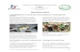Newsletter 2/2010 - Haus der Natur · Schabe ( Micropterix calthella ), bspw. auf gelben Hahnenfußblüten entlang von Bachläufen oder anderen etwas abgeschat-teten und feuchten