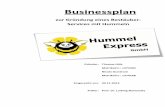 Hummel Express BP fertig - gcc.uni-paderborn.de · 9 bietet nahezu die gleichen Hummelkästen an. Auch hier wird die Absatzzahl auf 160.000 Völker geschätzt. Das deutsche Unternehmen