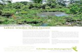 Faszination Naturgarten Leben wieder leben lassen Naturgarten in … alte Website... · 2018. 2. 12. · Das Gestalten mit vielfältigen, heimischen Pflanzenarten schafft die grundlegenden